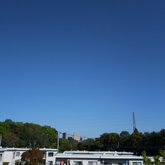 DSC_0895-0990a.JPG